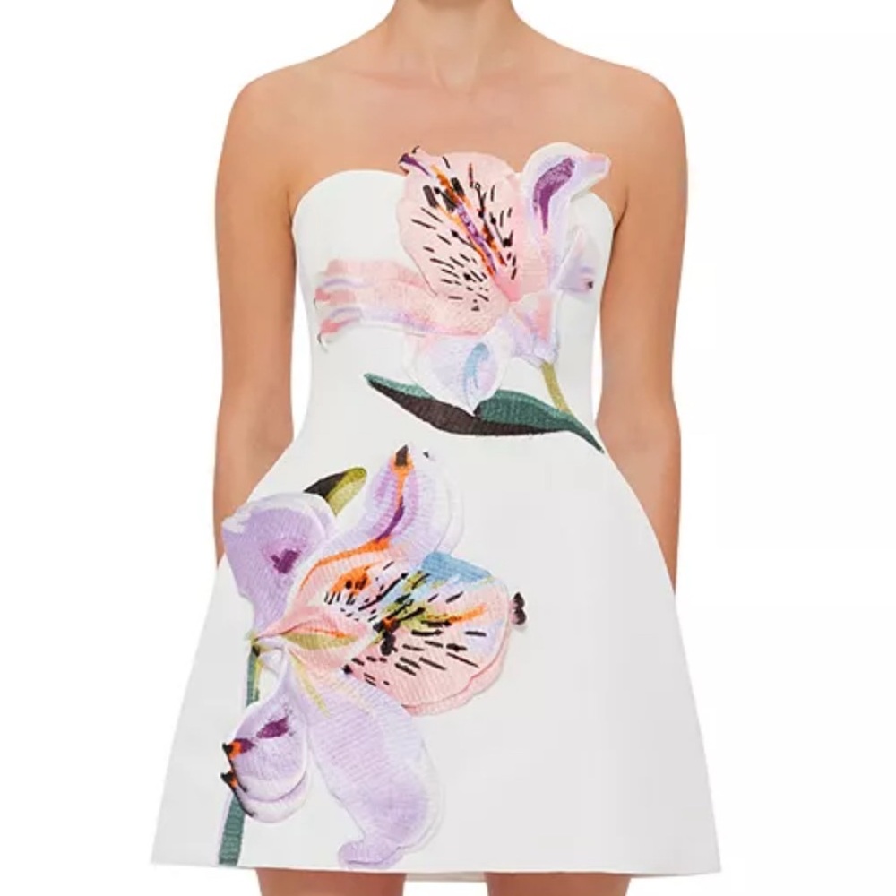 Leo Lin Rosario Appliqué Floral Bustier Mini Dress
